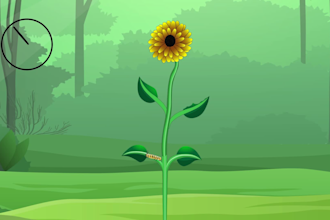 creating 2d nature animations, educational videos, character
