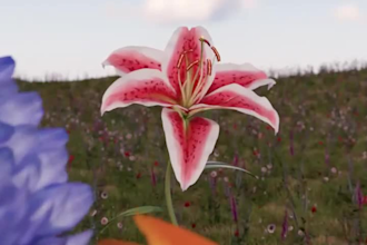 do 3d flower animation 3d flower model 3d plant animation 3d plant model flower