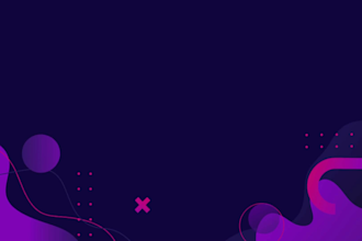 provide a professional web development and secure website solutions
