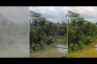 do professional video color correction and color grading