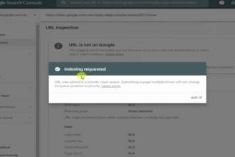 do yoast SEO of wordpress website for ranking in search engine