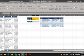 create dynamic reports for you in excel