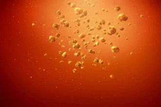 3d food animation 3d food showreel liquid animation 3d snacks animation food ads