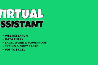 do data entry in low price
