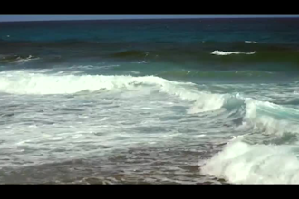 be your personal videographer, photographer in cancun
