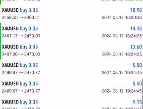 deliver you a profitable forex trading robot, trading bot, forex robot, ea robot