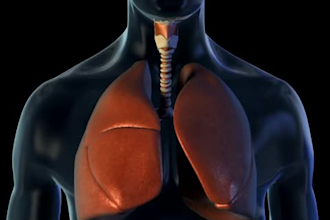 create aesthetic 3d medical animation, 3d medical animation video
