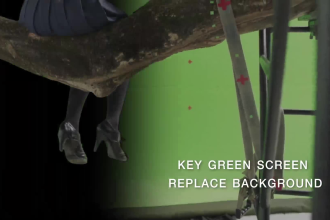 remove green screen, rotoscoping, chroma keying, cleanup, compositing