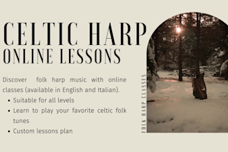 teach you to play the celtic harp