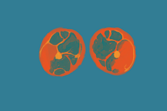create fluid rotoscope animation