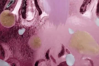 create 3d product animation for your perfume 3d perfume bottle animation perfume