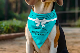 design seamless patterns and custom bandanas for pets