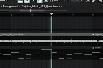 make or remake any song or instrumental, avoid copyright