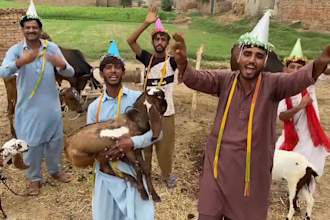 make funny happy birthday african videos or dance