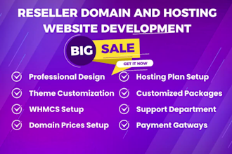 domain and hosting reseller website development