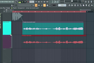 do professional vocal tuning