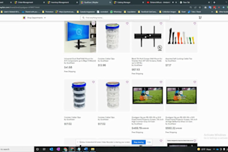 do professional wayfair listing and project submission