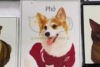 draw your pet in a hand drawn style digital portrait and deliver a framed print