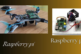 do matlab ,micropython, raspberry pi projects