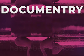 make your instagram or youtube explanation video using stock footage