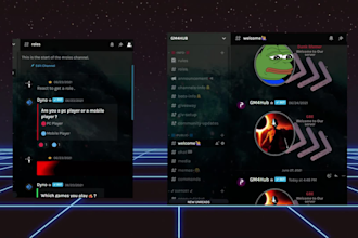 create a professional discord server for you