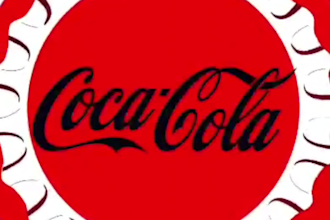 do brand promotion video