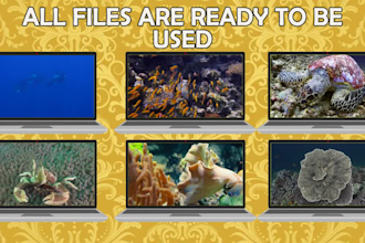 create 4000 full 4k underwater life free copyright stock footage
