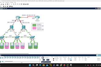 do any sort of task in cisco packet tracer