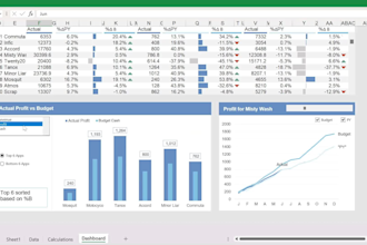 make custom spreadsheets and interactive excel dashboards