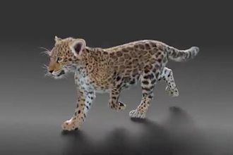 do 3d animal animation, 3d realistic animal model, 3d printing, vfx compositing