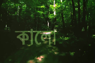 create an amazing lyrical video for your song