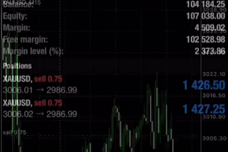 setup profitable forex trading bot, forex trading robot, trading bot, gold ea