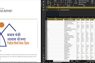 professionally analyse data to find key insights with report