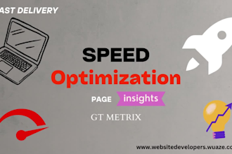 do wordpress speed optimization, pageinsights,gtmetrix