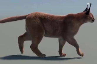 3d animal model 3d animal animation fur 3d model for cgi with full rigging vfx