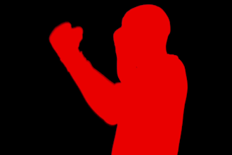 provide professional rotoscoping and video cleanup services