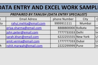 do copy past data entry and excel work for you