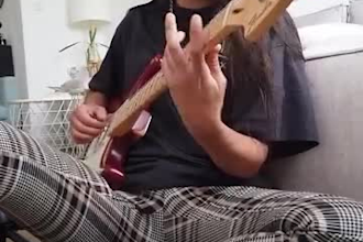 be your female pop folk rock blues vocalist reggaetón singer punk lead guitarist