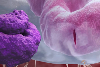 make 3d medical animation 3d medical device explainer video 3d product animation