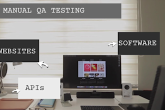 be your professional manual QA testing for apis and websites