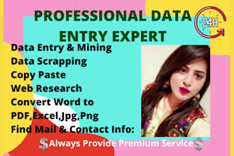 do perfect data entry web research and file conversion