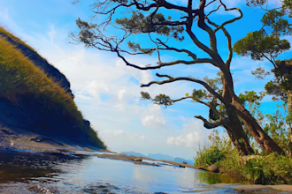 give you the best nature photography, portrait photography