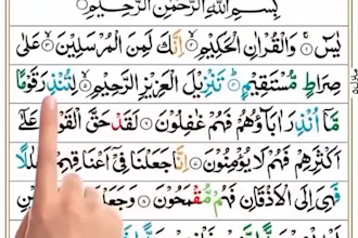 be your online quran teacher with tajweed and qirat