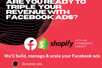 do shopify ads campaign, setup fb ads for shopify traffic