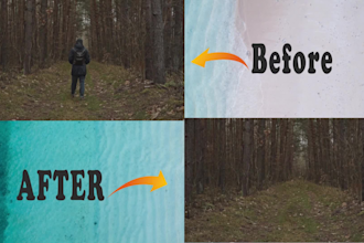 remove person, wire and unwanted object from your video