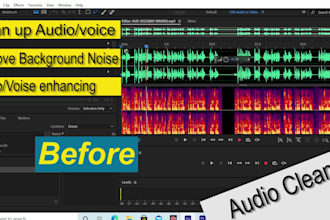 remove noise, wind, echo, repair and clean your audio