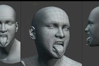 arkit blendshape,3d rig in blender for wonder dynamic,ue5livelink,mocap,aniamaze