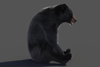 realistic 3d animal compositing, 3d animal integration, vfx, animal fur