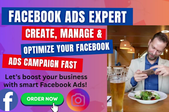manage and optimize facebook and instagram ad campaigns