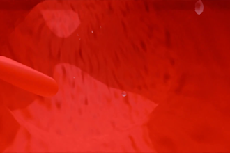 do 3d medical animation for a product or procedure